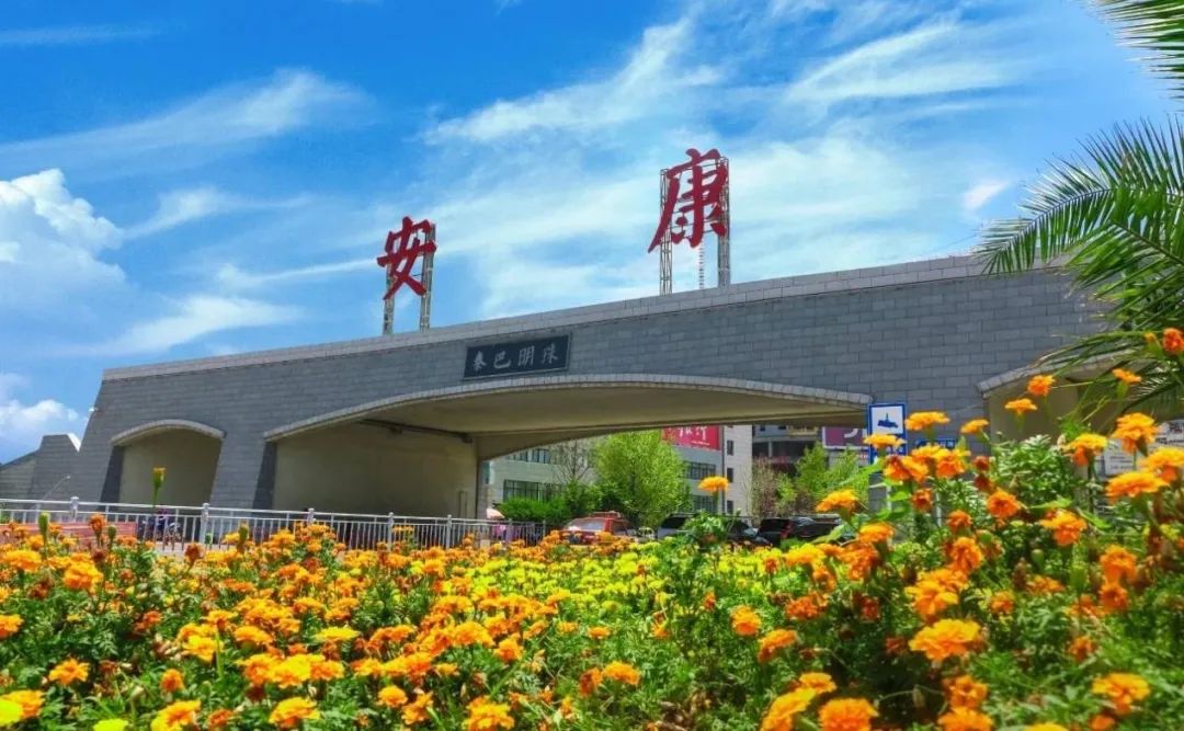 数字化转型时代：网站开发如何赋能安康企业医疗服务的持续升级